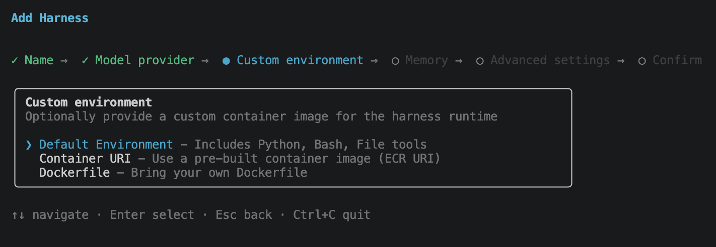 Custom environment options: Default, Container URI, Dockerfile